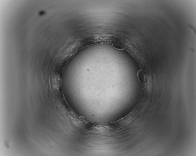 X0000102280712200808011450