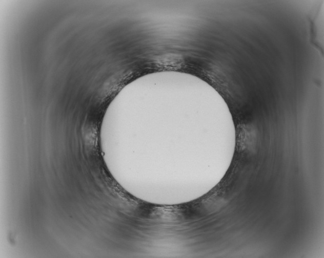 X0000102280713200808011450