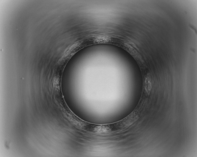 X0000102280714200808011450