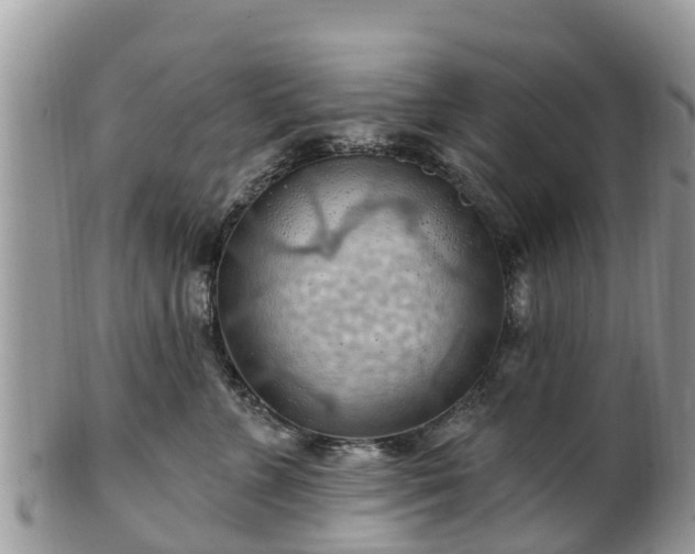 X0000102280715200808011450