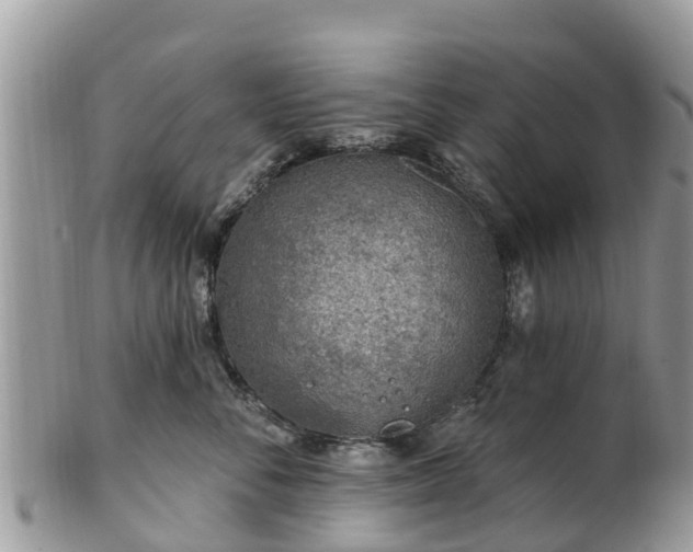 X0000102280716200808011450