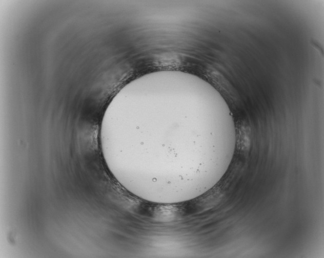 X0000102280717200808011450