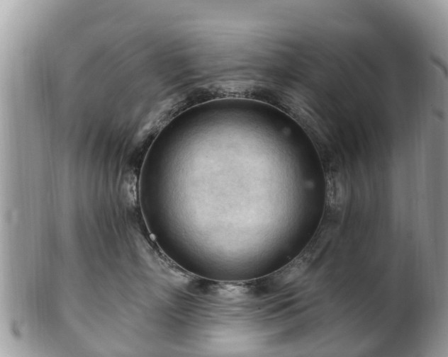 X0000102280718200808011450