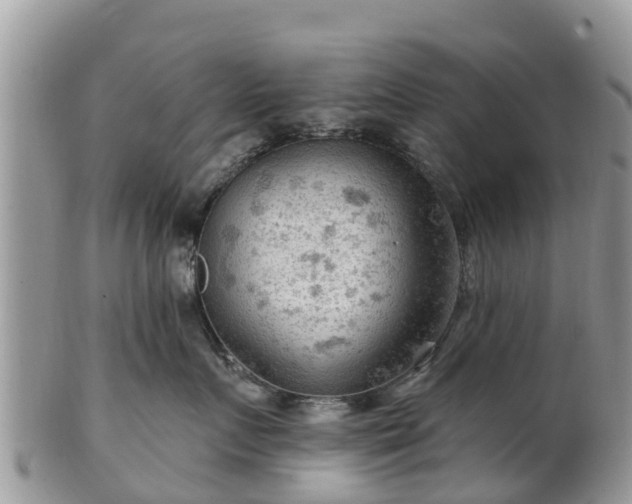 X0000102280719200808011450