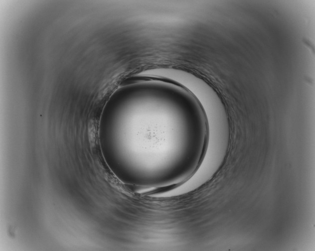 X0000102280720200808011450