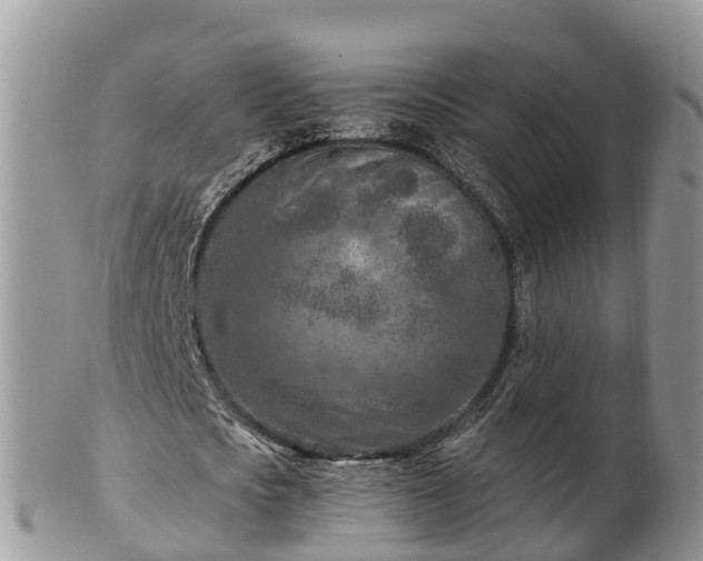 X0000102280721200808011449