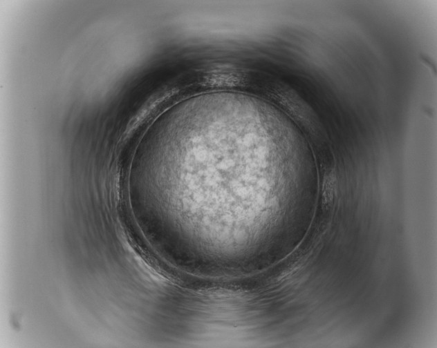 X0000102280722200808011449