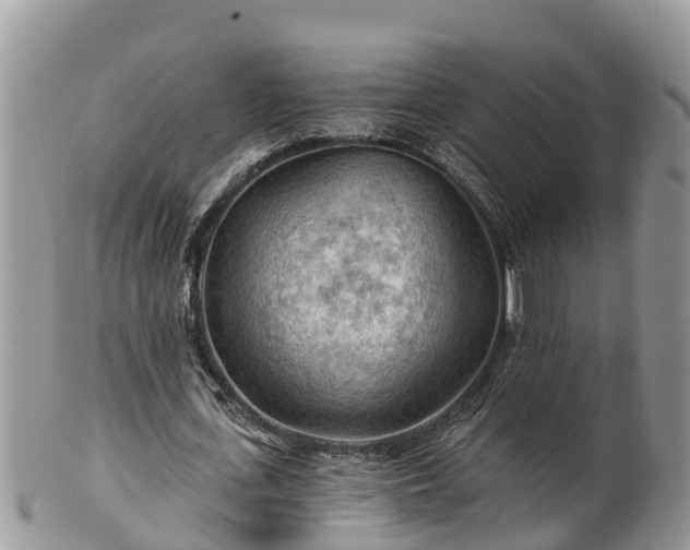 X0000102280723200808011449