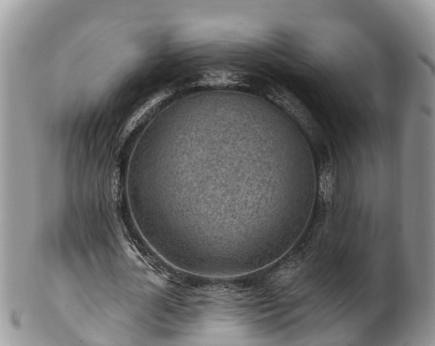 X0000102280724200808011449