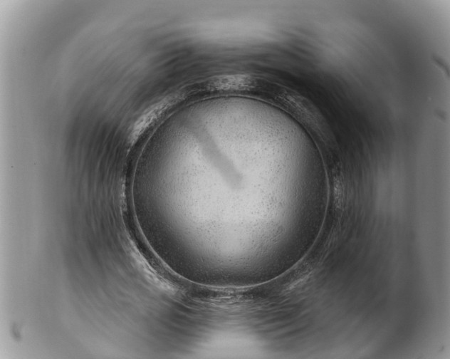 X0000102280725200808011449