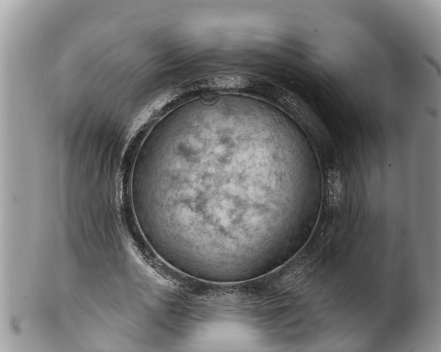 X0000102280726200808011449