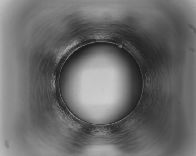 X0000102280727200808011449