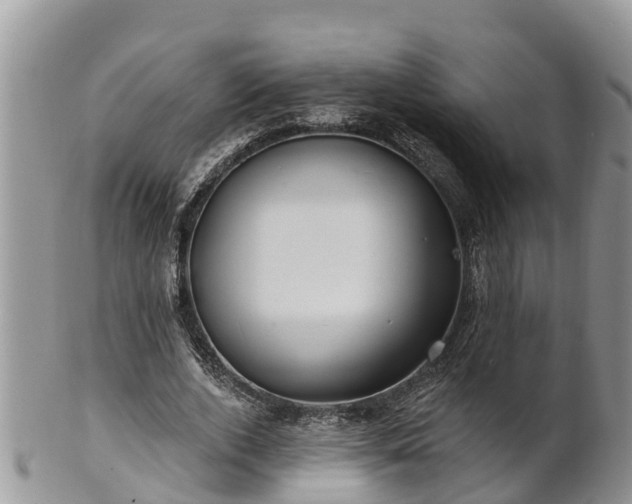 X0000102280728200808011449