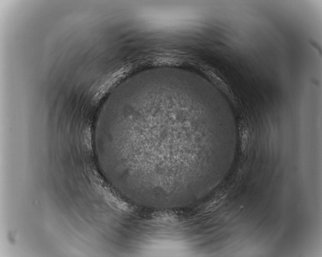 X0000102280729200808011449