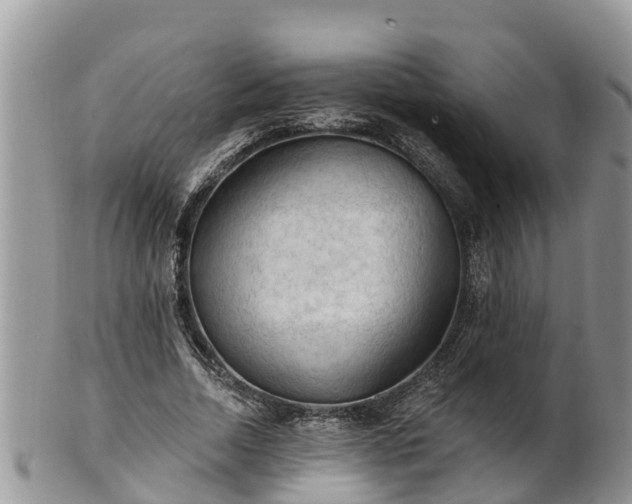 X0000102280730200808011449