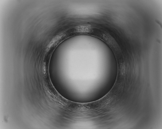 X0000102280731200808011449