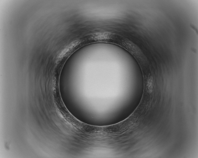 X0000102280732200808011449