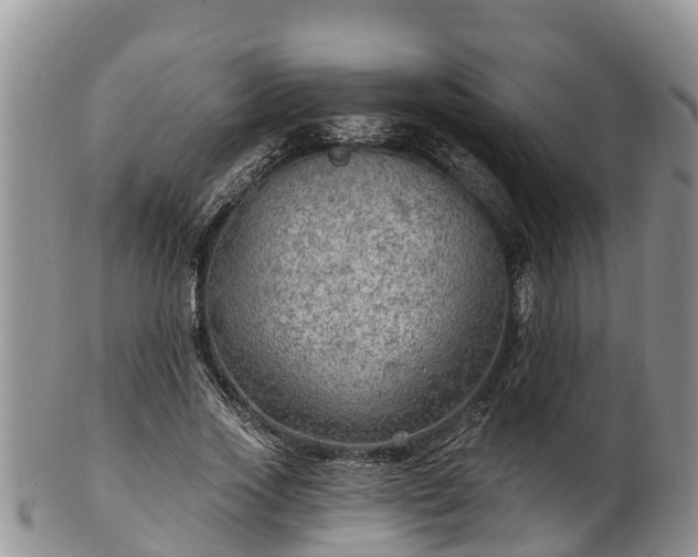 X0000102280733200808011449