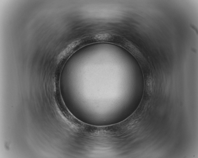 X0000102280734200808011449