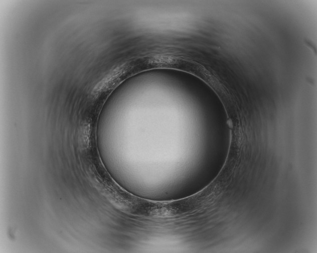 X0000102280735200808011449