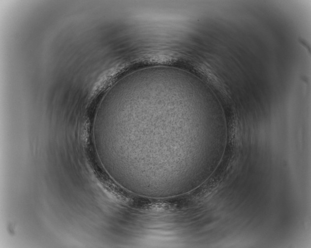 X0000102280736200808011449