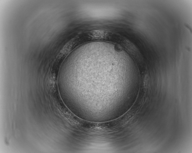 X0000102280737200808011449