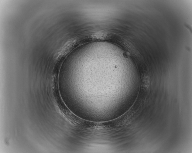 X0000102280738200808011449