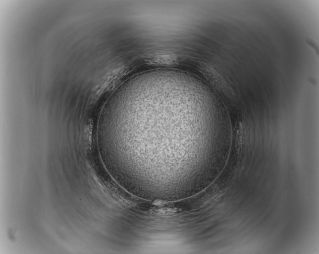 X0000102280739200808011449