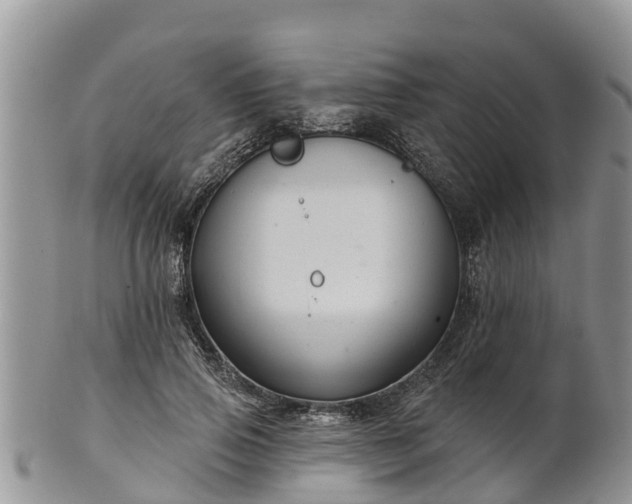 X0000102280741200808011449