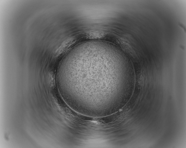 X0000102280743200808011450