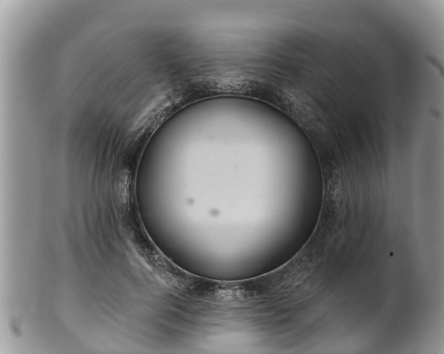 X0000102280744200808011450