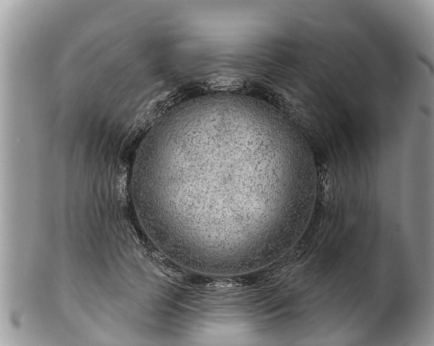 X0000102280745200808011450