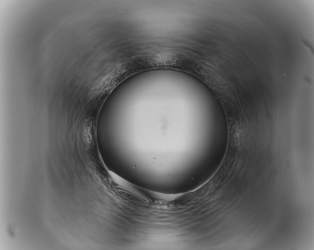 X0000102280746200808011450