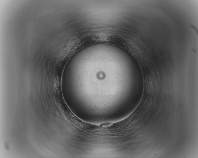 X0000102280747200808011450