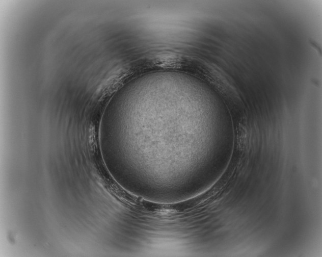 X0000102280748200808011450