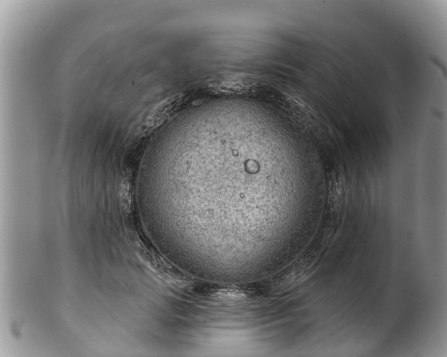 X0000102280749200808011450