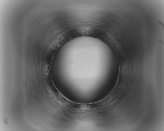 X0000102280750200808011450