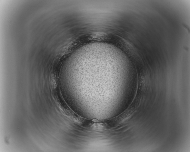 X0000102280751200808011450