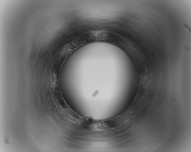 X0000102280752200808011450