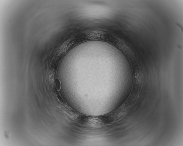 X0000102280753200808011450