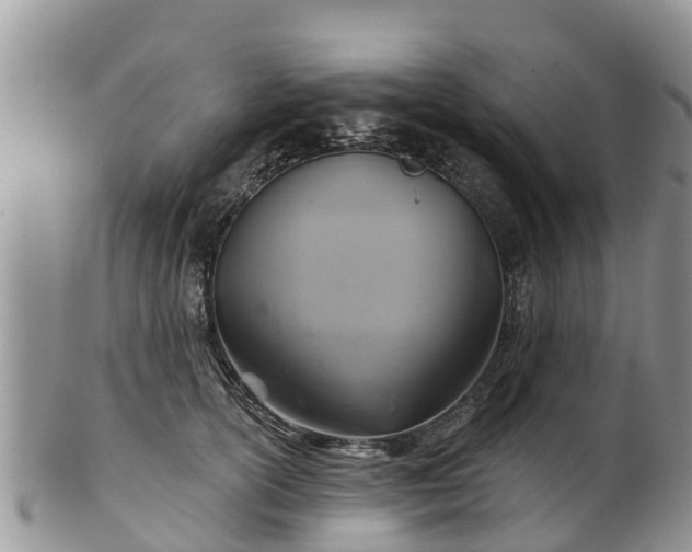 X0000102280754200808011450