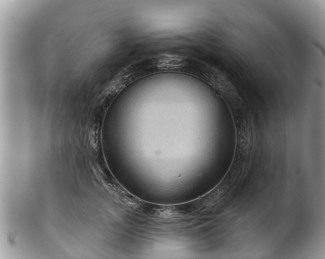 X0000102280755200808011450