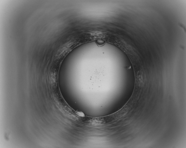 X0000102280756200808011450