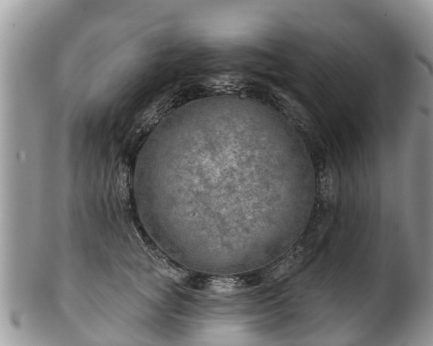 X0000102280757200808011450