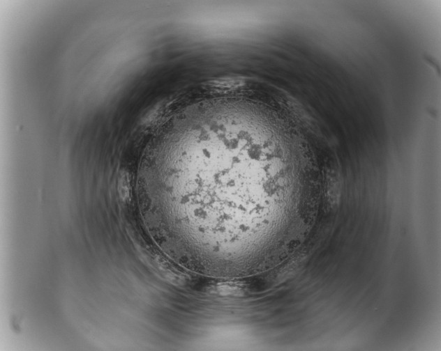 X0000102280758200808011450