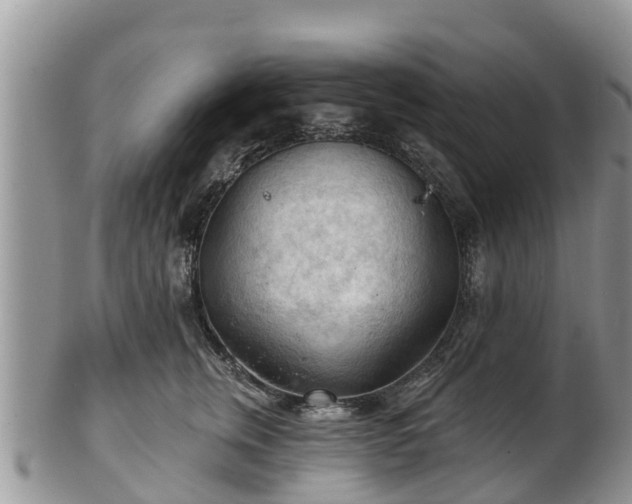 X0000102280759200808011450