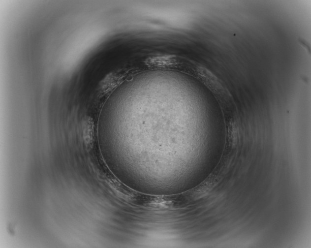 X0000102280760200808011450