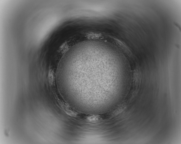 X0000102280761200808011450