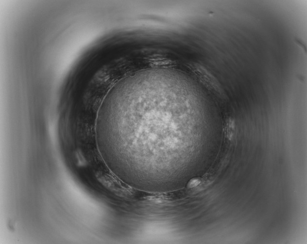 X0000102280763200808011450