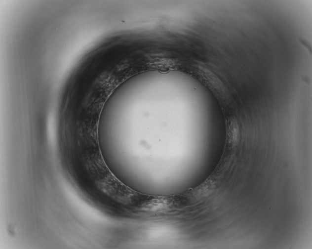 X0000102280764200808011450